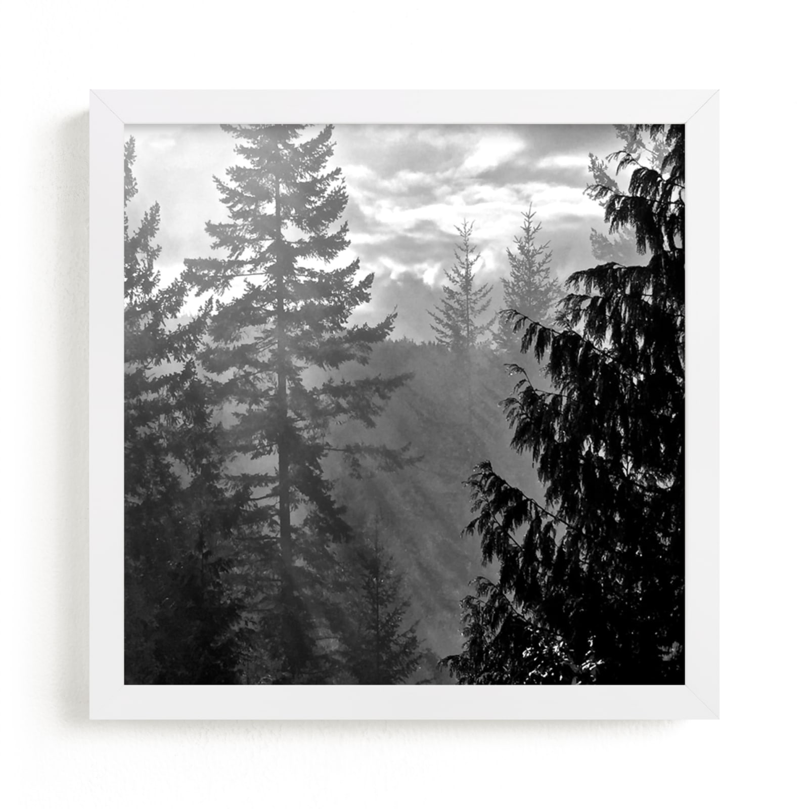 "Morning Fog" - Art Print by Jan Kessel in beautiful frame options and a variety of sizes.