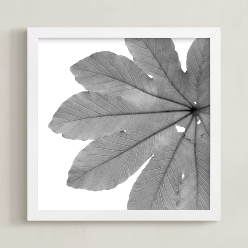 Leaf in Black & White