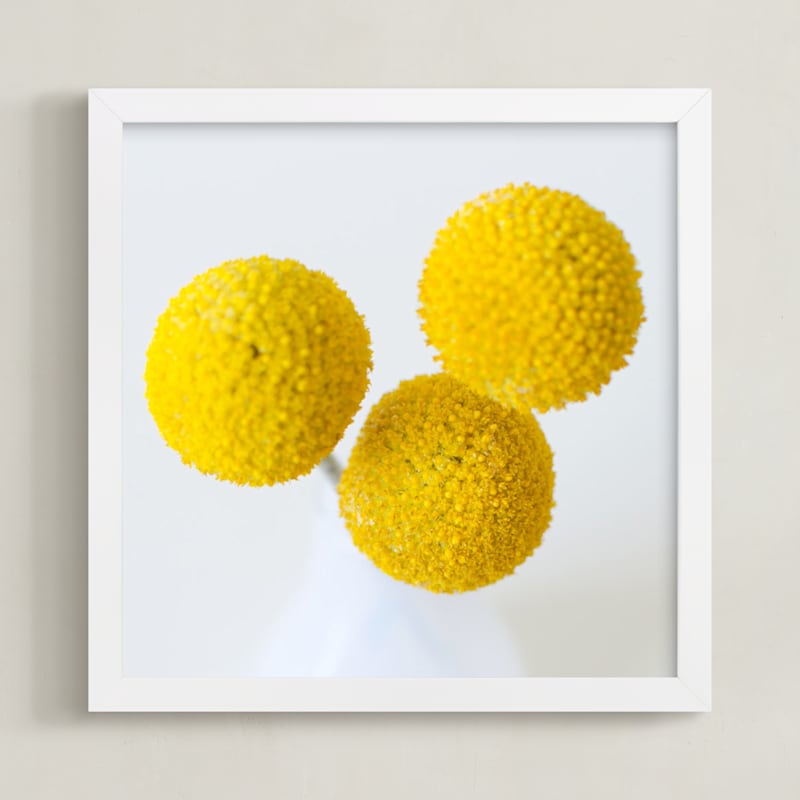 Billy Buttons