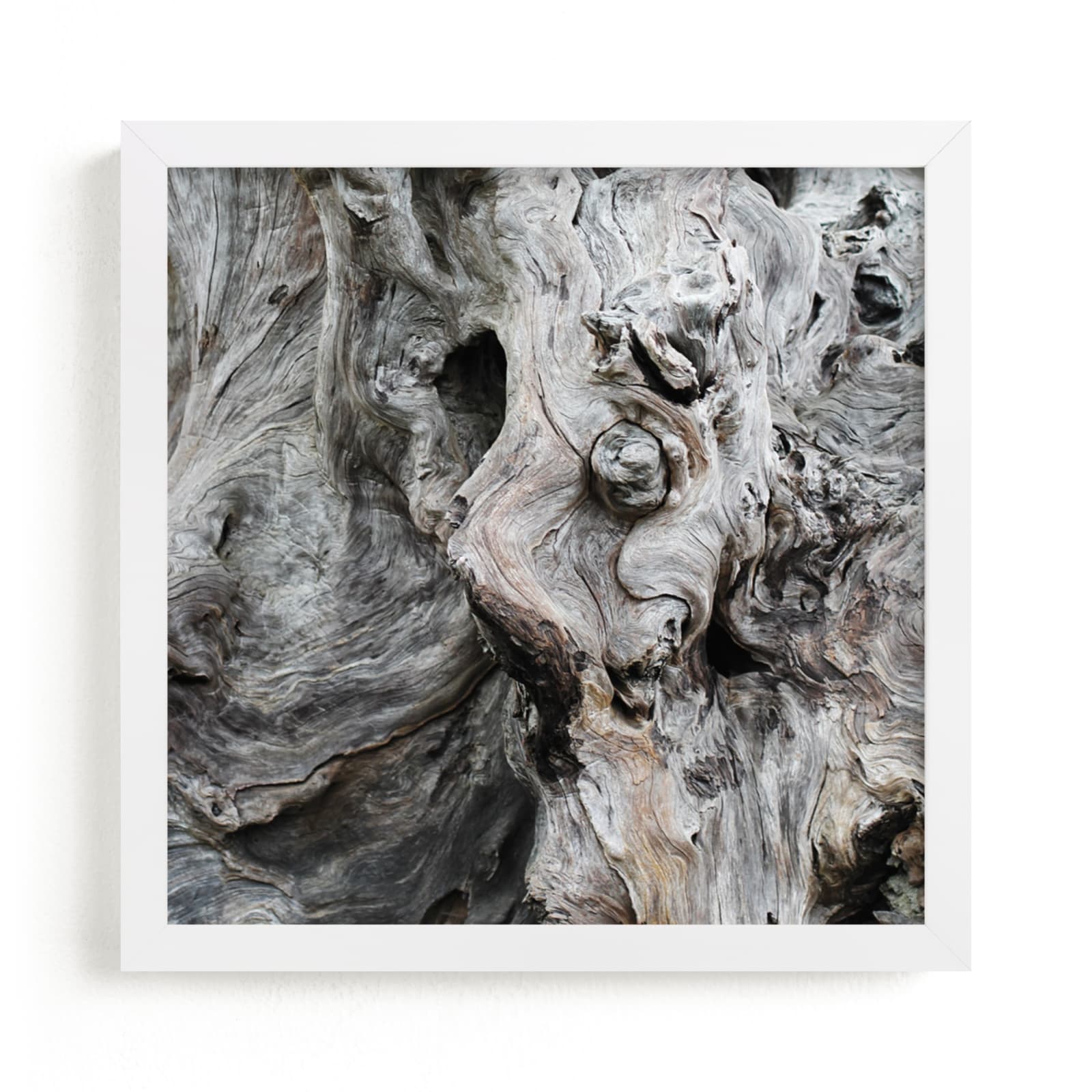 "Driftwood" - Art Print by Jayna B in beautiful frame options and a variety of sizes.