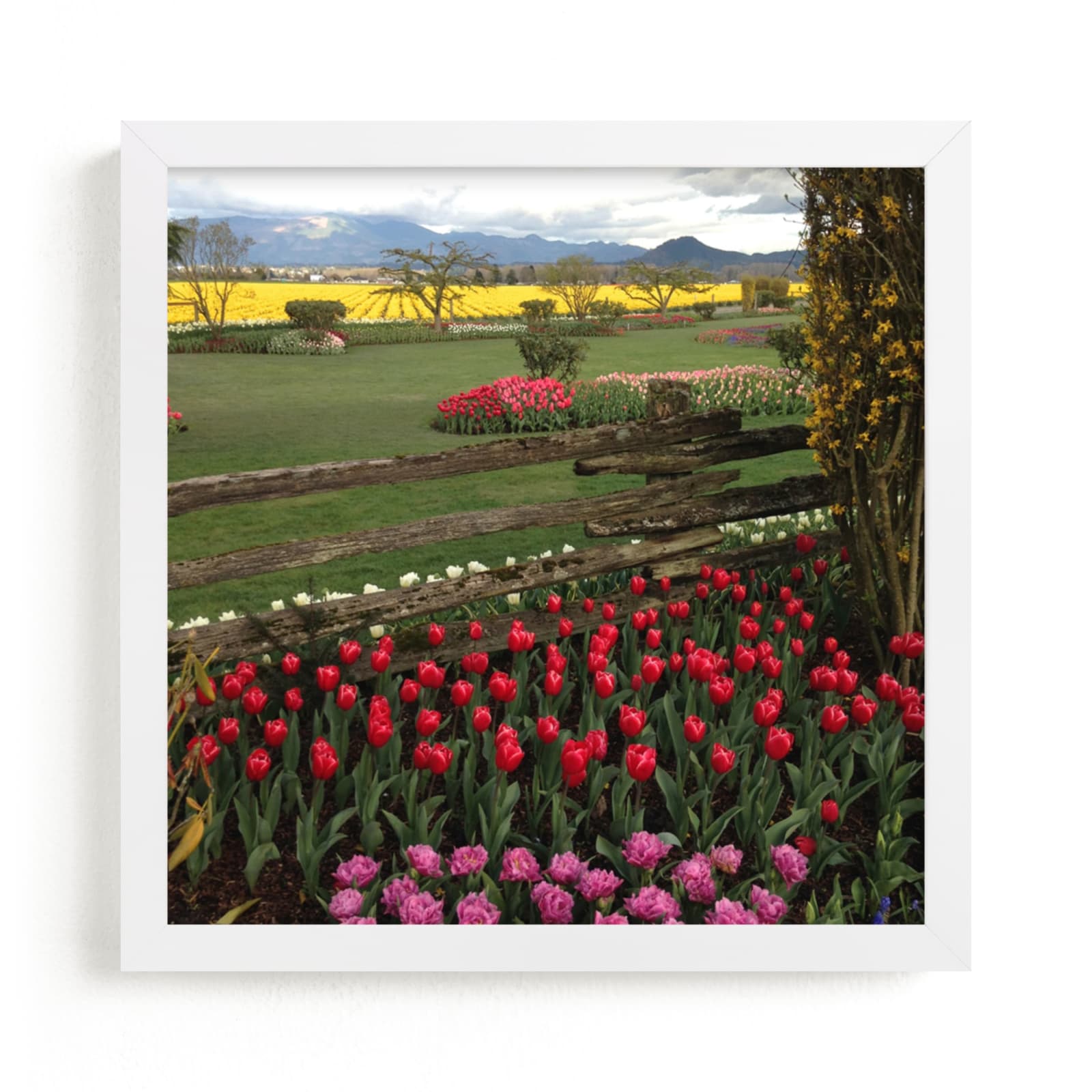 "Spring Gardens" - Art Print by Jan Kessel in beautiful frame options and a variety of sizes.