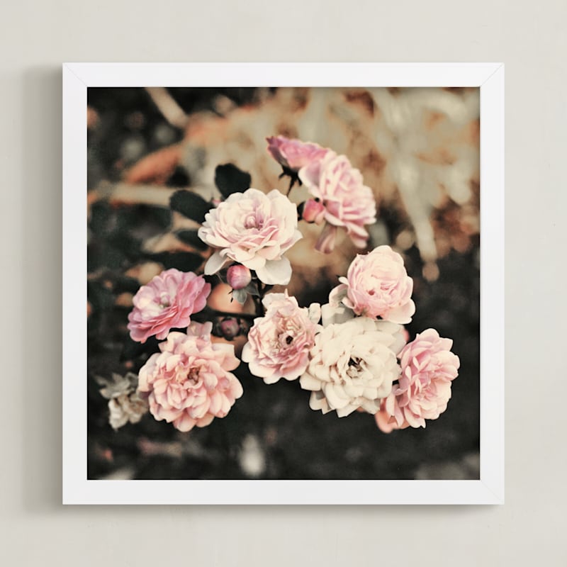 Fading Pink Roses