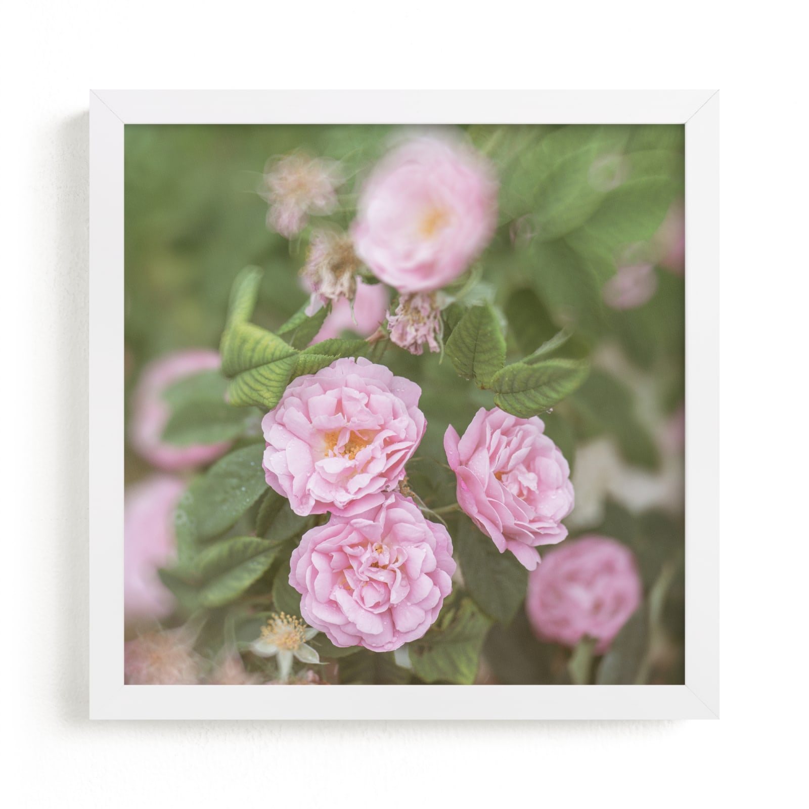 "Garden Flowers No. 2" by Lynann Colligan in beautiful frame options and a variety of sizes.
