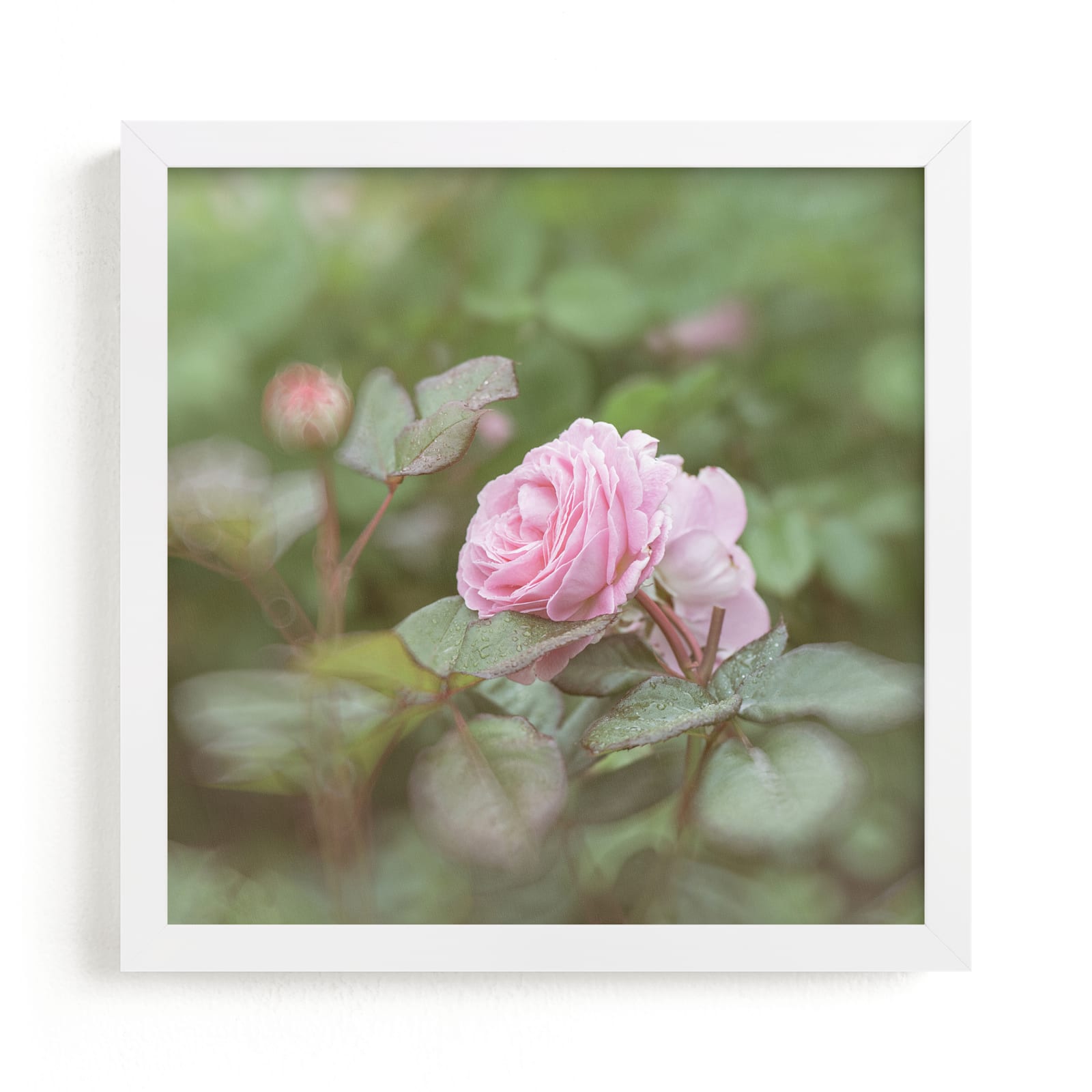 "Garden Flowers No. 1" by Lynann Colligan in beautiful frame options and a variety of sizes.