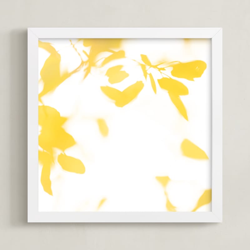 Aspen Gold #1