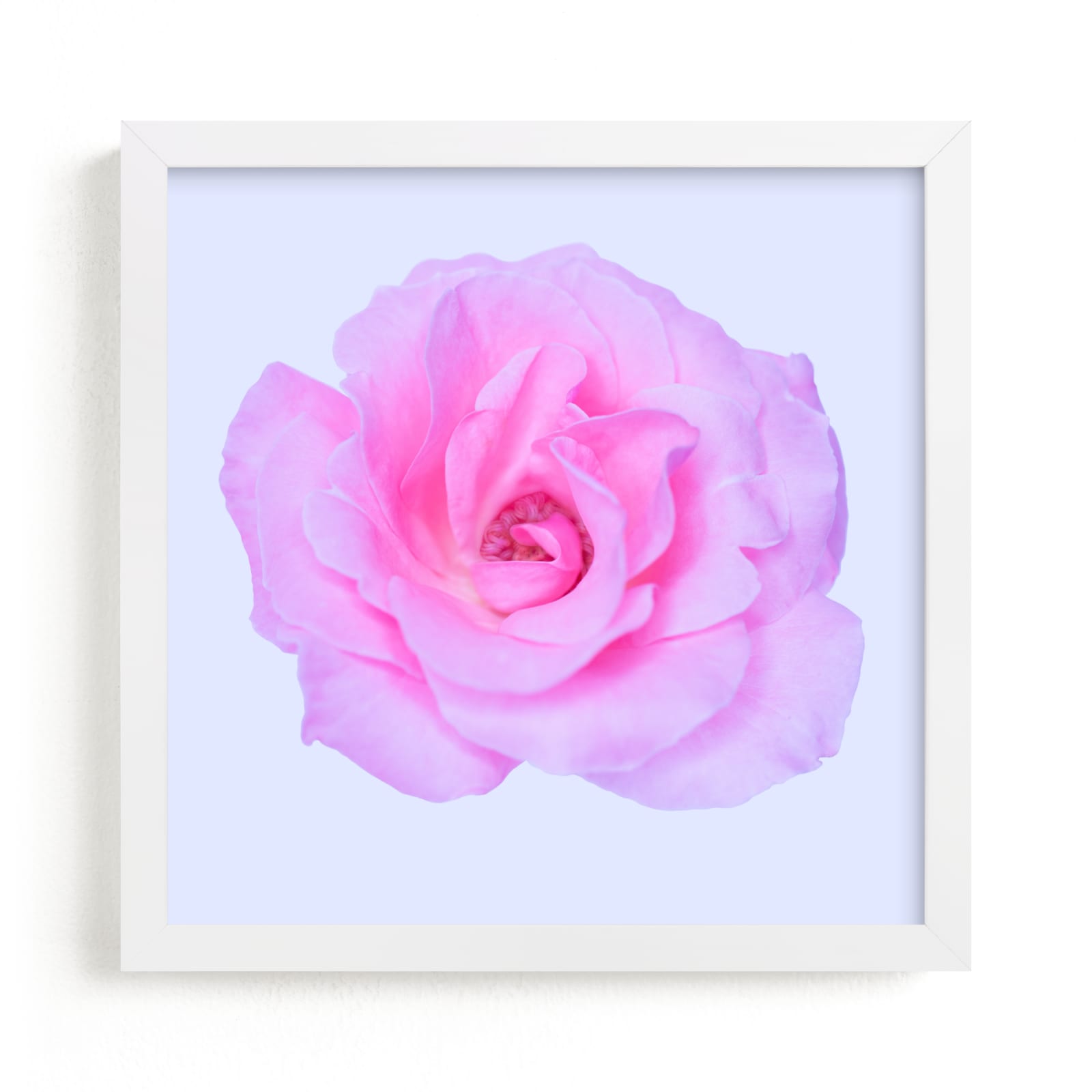Pink Flower Poster, Roses Photography, Pink Roses Print, Pink