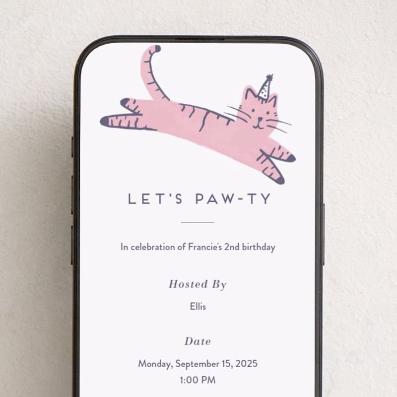MIN-013-OKB - Pawty Cat