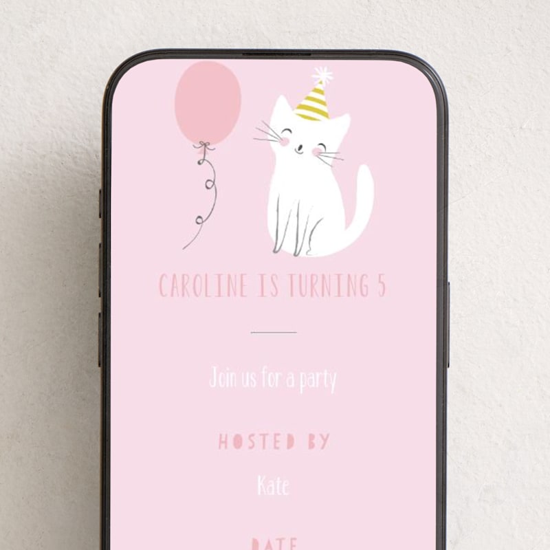 MIN-018-OKB - Party cat