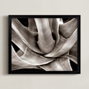 "Garden In Santaluz 01" - Art Print in sepia tone by GLEAUX Art Photo Design - Framed