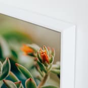 "Dew Drop By by Stacy Kron" - Art Print in Fresh Green by Stacy Kron - Frame Close-up
