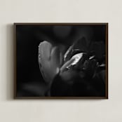 "Peony #2" - Art Print in Black and White by Lynn Lehto - Framed