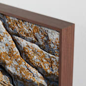 "Mediterranean Lichen" - Art Print in curcuma by Christiana Petschallies - Frame Close-up
