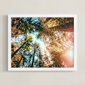 "Redwoods Surround Me" - Art Print in Forest Green by Elena Kulikova - Framed