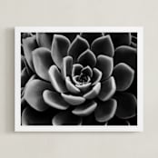 "BW Succulent" - Art Print in black by Alexis Arnold - Framed