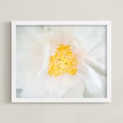 "Majestic Peony" - Art Print in Majestic white by Ilze Lucero - Framed