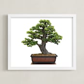 "bonsai" - Art Print in green by Ramoncita - aticnomar - Framed