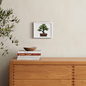 "bonsai" - Art Print in green by Ramoncita - aticnomar - In a Room