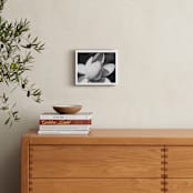 "Petal Series Nº1" - Art Print in pale grey by Anne Ciotola - In a Room