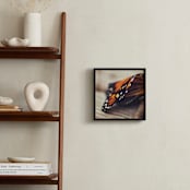 "Monarch Study #2" - Art Print in Monarch Orange by Stacy Kron - In a Room