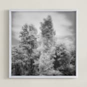 "InfraBotanical" - Art Print in Grey by Jeff Preuss - Framed
