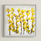 "Forsythia" - Art Print in yellow by Qing Ji - Framed