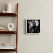 "Ochre Eucalyptus II" - Art Print in Black by Tanya Lee Design - In a Room