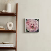 "My Garden P1" - Art Print in Frosted Pink by Mandy Trimble Leonard - In a Room