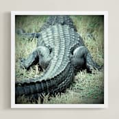 "Basking Florida Gator" - Art Print in Emerald Green by Kate Ross - Framed