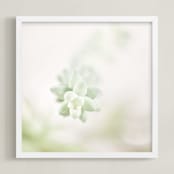 "Soft Succulent No. 1" - Art Print in Soft Sage by Andi Pahl - Framed