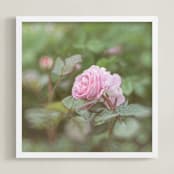 "Garden Flowers No. 1" - Art Print in blossom pink by Lynann Colligan - Framed