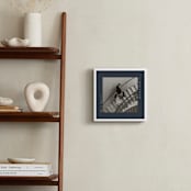 "Contemporary Typo: Square Framed Photo" - Framed Photo in Midnight by Lucrecia Caporale - In a Room