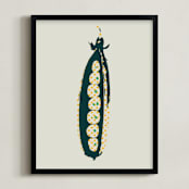 "Pea Pod - Vegetable" - Art Print in Pale Grey by Simi Gauba - Framed