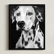 "Dalmation" - Art Print in Graphite Gray by Jerry Winick - Framed