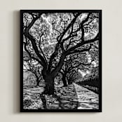 "Curly Tree Alley in Oahu" - Art Print in Strong Black and White by Rasa Puzinaite - Framed