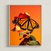 "Monarch Butterflies Sunset" - Art Print in Monarch Orange by Elena Kulikova - Framed