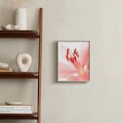 "Lily Splash II" - Art Print in Blush by Renée Stramel - In a Room