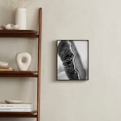 "Forest Find" - Art Print in black and white, grey, gray by Alexis Arnold - In a Room