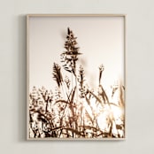 "Coastal Flora " - Art Print in Sepia by Shine Haus Collective - Framed