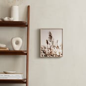 "Coastal Flora " - Art Print in Sepia by Shine Haus Collective - In a Room