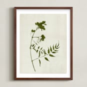 "Foraged I" - Art Print in Verdant by Kamala Nahas - Framed