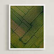 "Above the Paddy" - Art Print in Green by Alaric Yanos - Framed