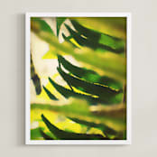 "Peekaboo Fern" - Art Print in Fern by Lisa McLean - Framed