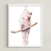 "Rose Breasted Cockatoo, Simply Elegant" - Art Print in Pale Rose Pink by Lauren Rogoff - Framed