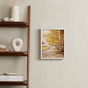 "Fall Tree-lined Street" - Art Print in Golden Glow by Erin Niehenke - In a Room