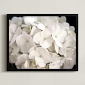 "White Petals" - Art Print in Delicate White by Jayna B - Framed