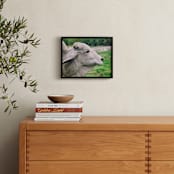 "Brahman Cattle" - Art Print in grey by Alexis Arnold - In a Room