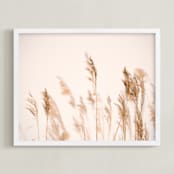 "summer weeds" - Art Print in white by Crystal Lynn Collins - Framed
