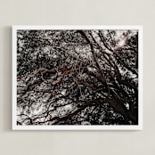 "Agnes Waters III" - Art Print in Mono by Blustery August - Framed
