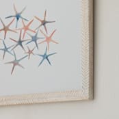 "Seastars" - Art Print in Coral by Mia Posada - Frame Close-up