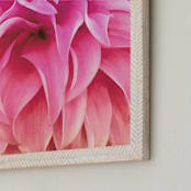 "Spring Noir 6" - Art Print in Candy by Sarah Johnson - Frame Close-up